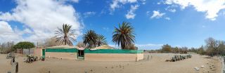 GC-Camello Safari (Maspalomas)-19.jpg
